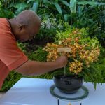 Two Killed, Several Injured in Clashes at Teshie Kpokpoi Sprinkling Ceremony